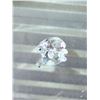 Image 3 : SWAROVSKI BABY TORTOISE