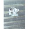 Image 2 : SWAROVSKI BABY TORTOISE