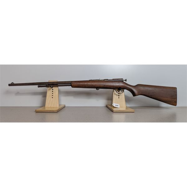 COOEY MODEL 60 IN .22S, L & LR 