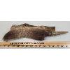 Image 2 : NORTHERN PLAINS NATIVE BELT KNIFE