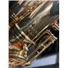 Image 3 : Kelworth Alto Saxophone in Case, SN 951319