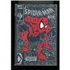 Image 1 : Marvel Spider-Man #1 Silver Variant