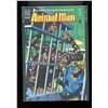 Image 1 : DC Animal Man #3 (1988)