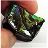 Image 1 : 3)  NATURAL GREEN & PURPLE FIRE AMMONITE 140.5 CT