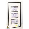 Image 1 : 10X20 GALLERY FRAMED POLAR BEARS W/WRITE UP ON BAC
