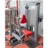 Image 2 : CYBEX ROW MACHINE