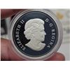 Image 3 : 2016 Canadian 15 dollar, fine silver "National Heroes; Firefighters" coin #00856 - Housed in RCM cas