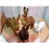 Image 1 : PAPER MACHE RABBITS