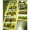Image 1 : STEREOPTIC CARDS