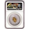 Image 2 : 4.73 Gram Yukon Gold Nugget NGC Graded