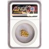 Image 2 : 3.90 Gram Yukon Gold Nugget NGC Graded