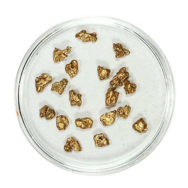 Gold Nuggets 3.00 Grams Total Weight