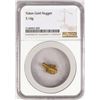 Image 1 : 3.14 Gram Yukon Gold Nugget NGC Graded