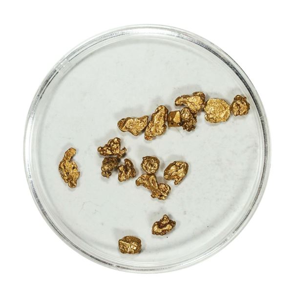 Gold Nuggets 2.08 Grams Total Weight