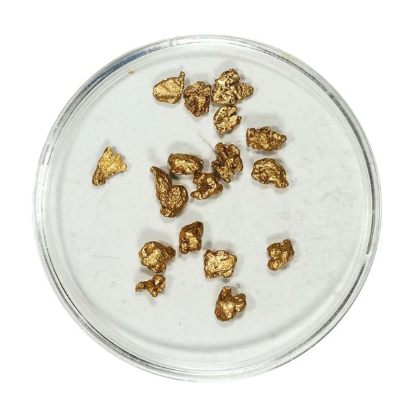 Gold Nuggets 2.71 Grams Total Weight