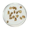 Gold Nuggets 2.71 Grams Total Weight