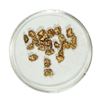 Gold Nuggets 3.36 Grams Total Weight