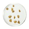 Lot of Gold Nuggets 2.31 Grams Total Weight
