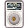 Image 2 : 3.82 Gram Yukon Gold Nugget NGC Graded