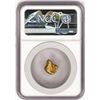 Image 2 : 3.78 Gram Yukon Gold Nugget NGC Graded