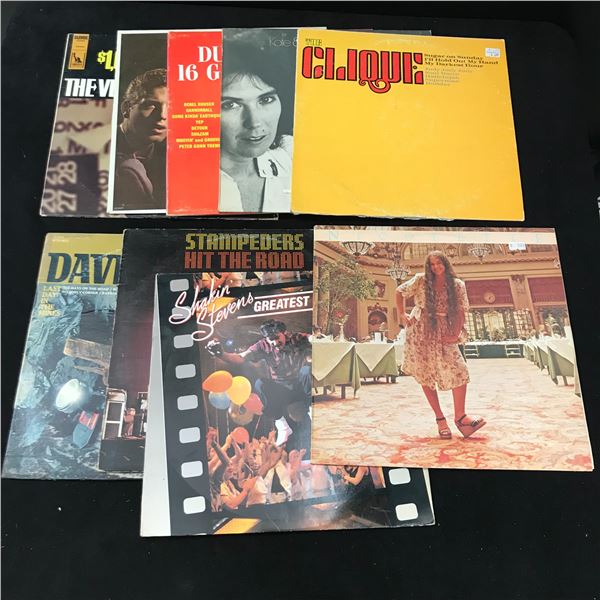 VINYL RECORD LOT