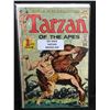 Image 1 : DC COMICS TARZAN NO.1