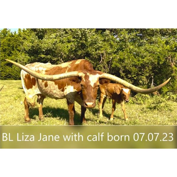 BL LIZA JANE 840