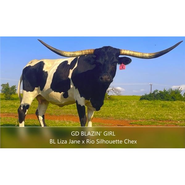 GD Blazin Girl