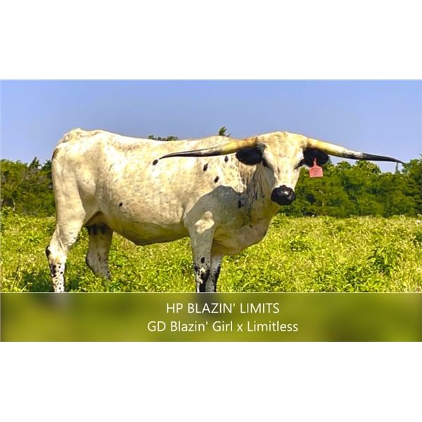 HP Blazin Limits