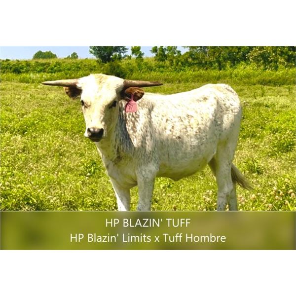 HP Blazin' Tuff