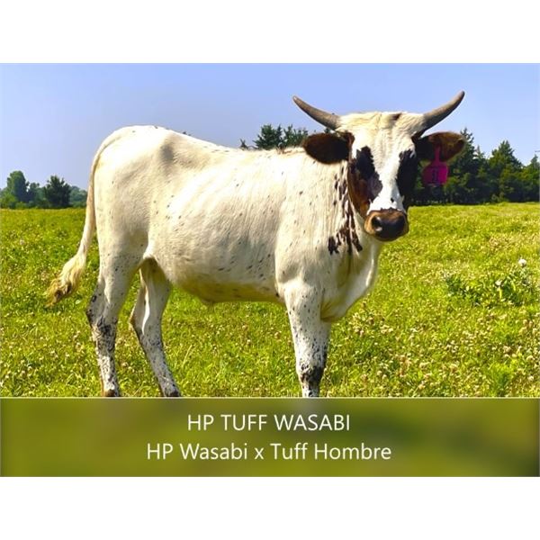 HP Tuff Wasabi
