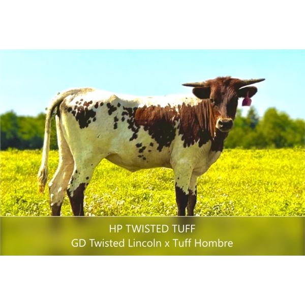 HP Twisted Tuff
