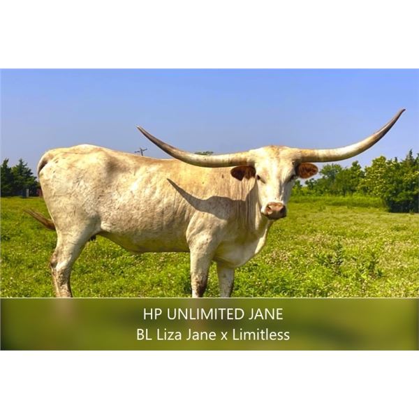 HP Unlimited Jane
