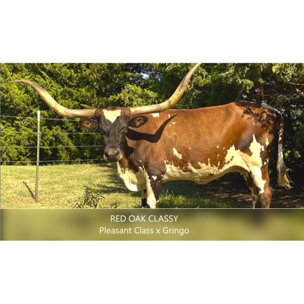 RED OAK CLASSY