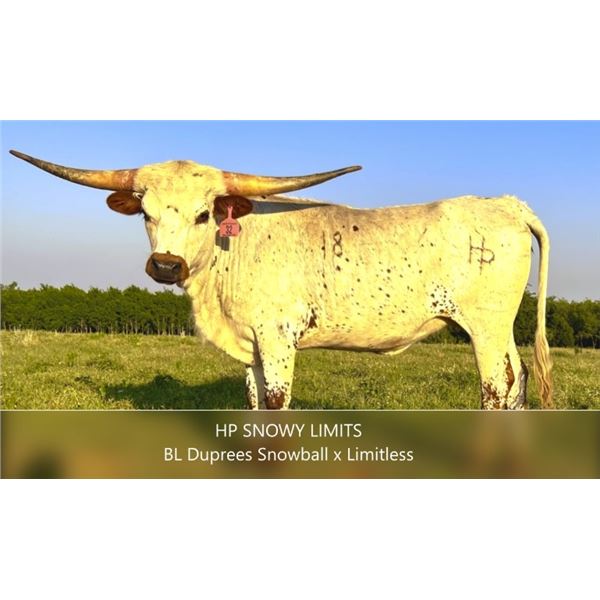 HP Snowy Limits