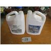 Image 1 : RV & Home plumbing anti-freeze jugs (1 Partial, 1 full )