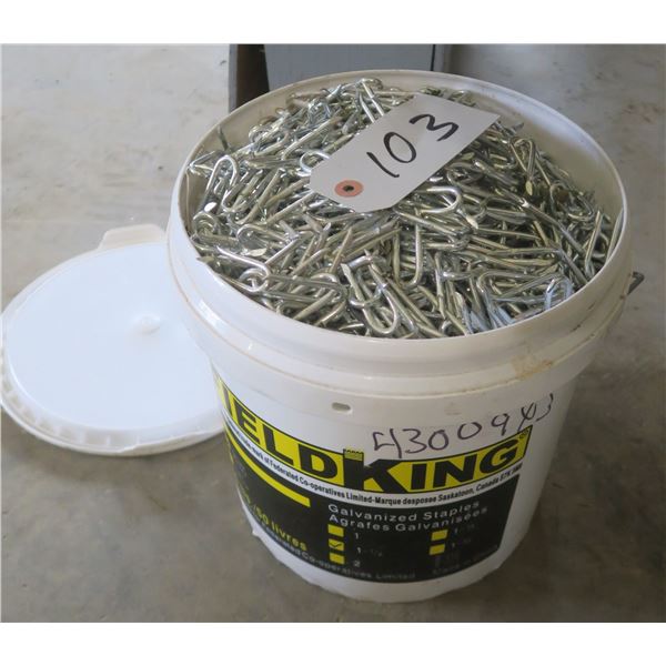 Plastic pail of framing staples