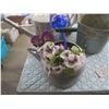 Image 4 : Lot of Assorted Galvanized watering pots – Perfect for your garden