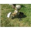 Image 3 : Boy riding a bicycle lawn ornament – 15”x 16”