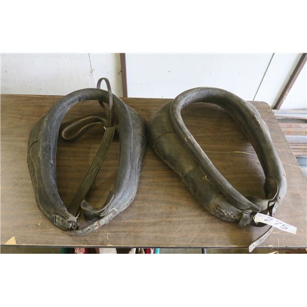 2 21" horse collars