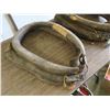 Image 3 : 2x 22" horse collars