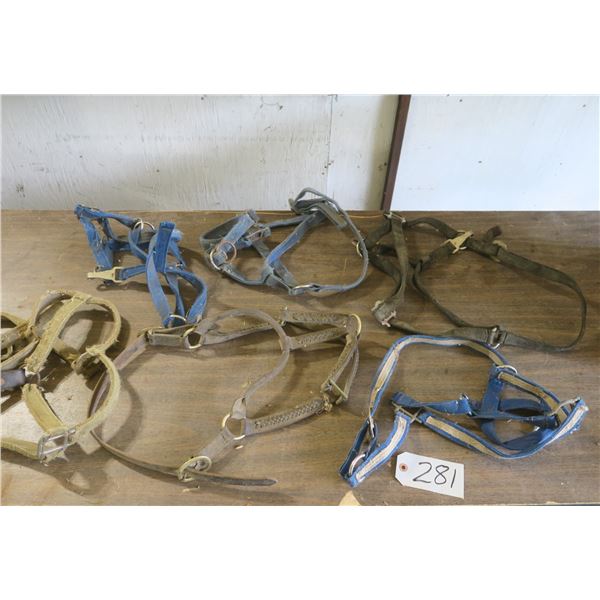 Box of Several Horse halters