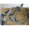 Image 4 : Box of Several Horse halters
