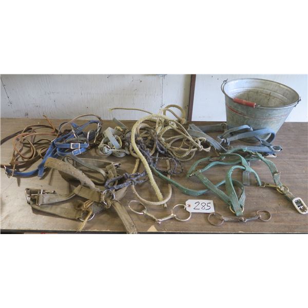 Galvanized Bucket with assorted Horse tack