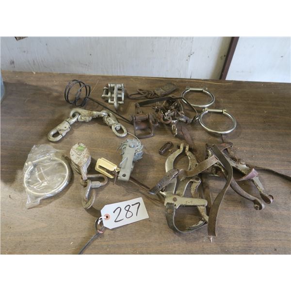 Box of assorted horse tack