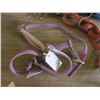 Image 2 : Box of Assorted Horse halters