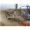 Image 3 : Box of Assorted Horse halters
