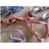 Image 6 : Box of Assorted Horse halters