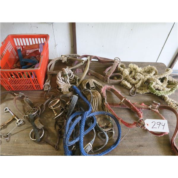 Plastic bin of Horse halters