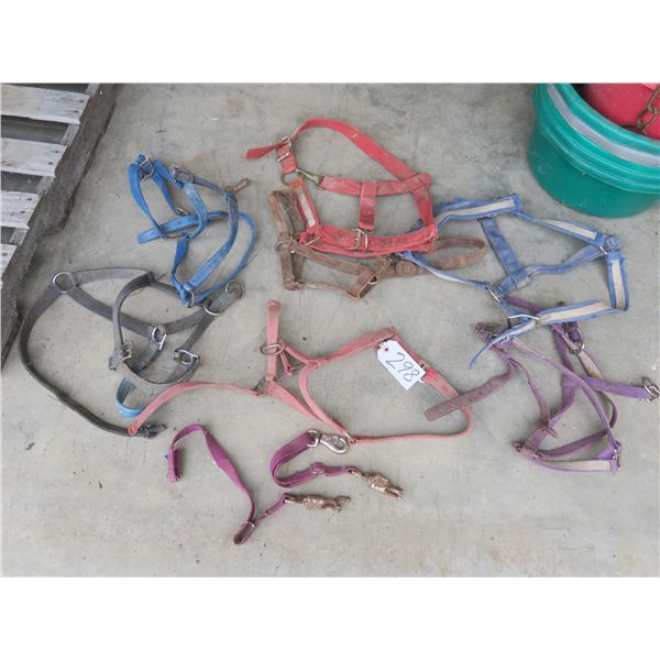 Lot of several horse halters